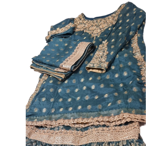 TT-W48 - Embroidered Banarasi Chiffon Gharara Suit (Hand Work) - 3 Piece