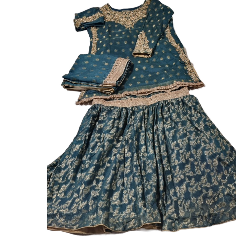 TT-W48 - Embroidered Banarasi Chiffon Gharara Suit (Hand Work) - 3 Piece